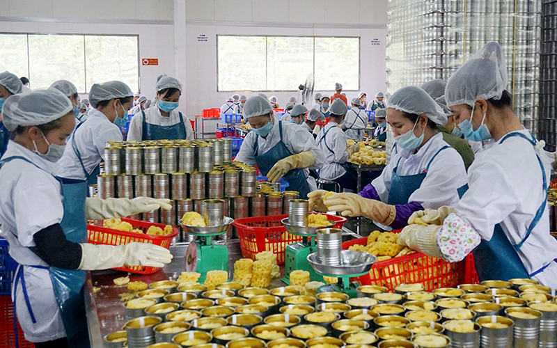 Les exportations nationales vers la Chine reprennent leur dynamique de croissance